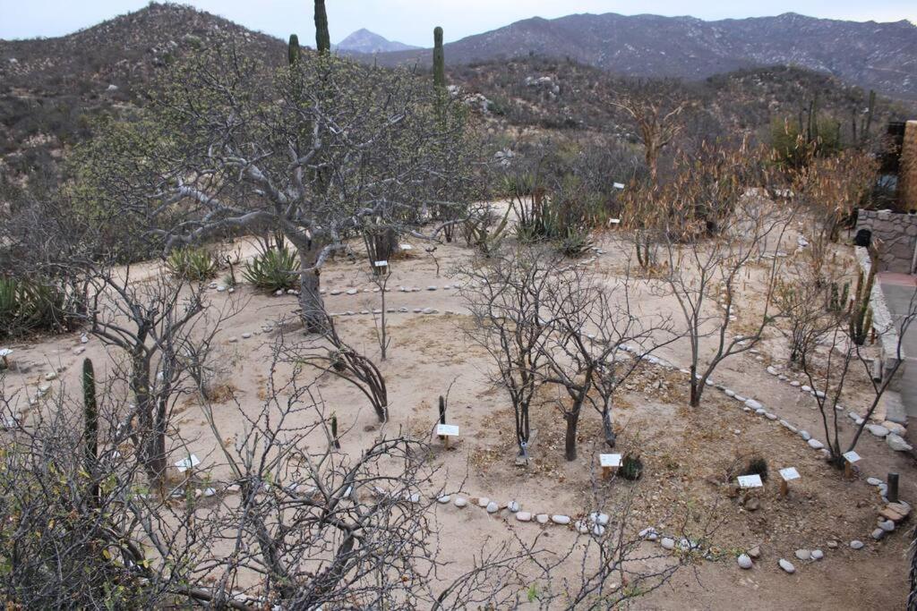 Rancho Campestre El Ancon La Paz Exterior foto